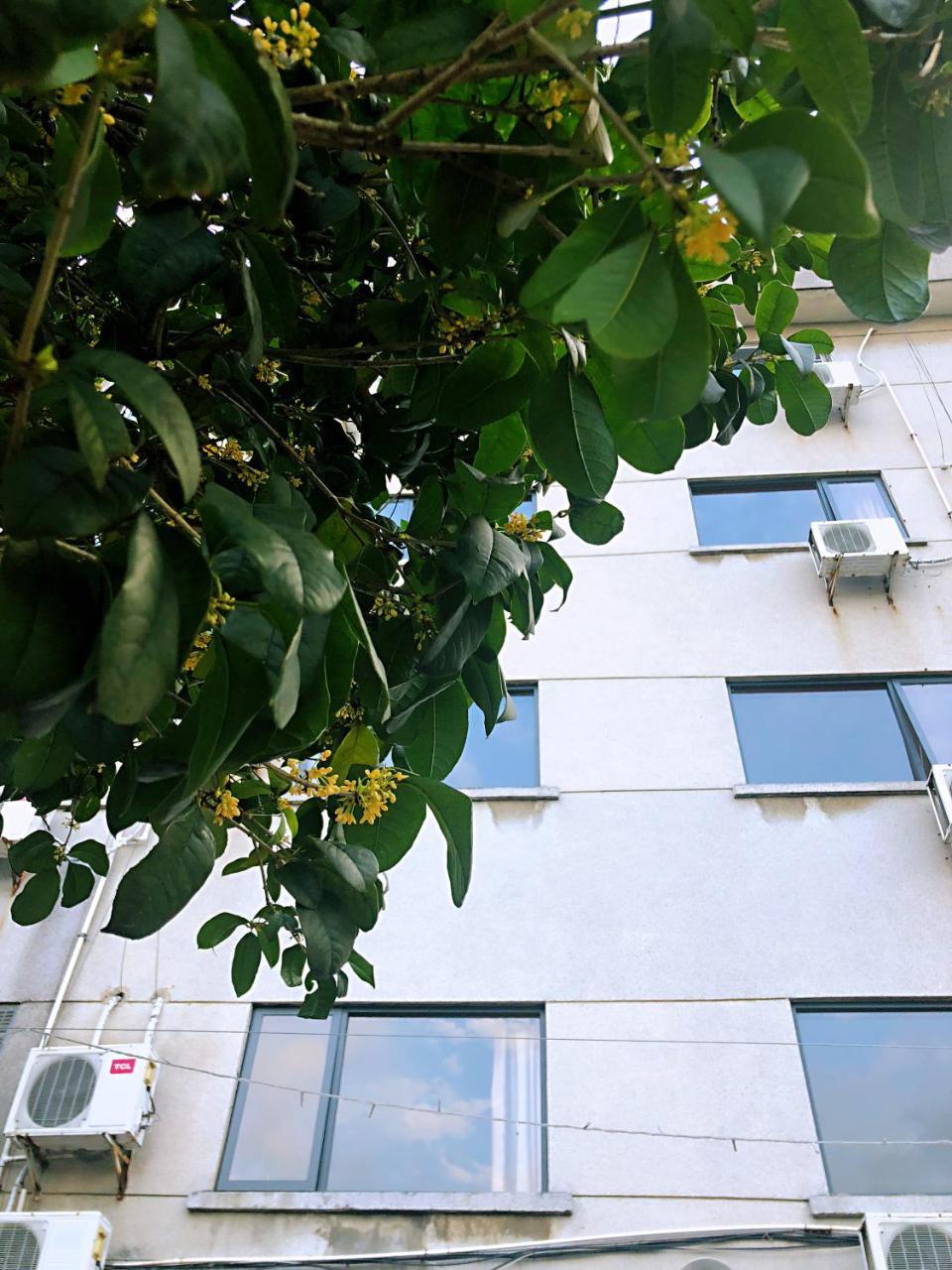 Lakeside Inn قويلين المظهر الخارجي الصورة